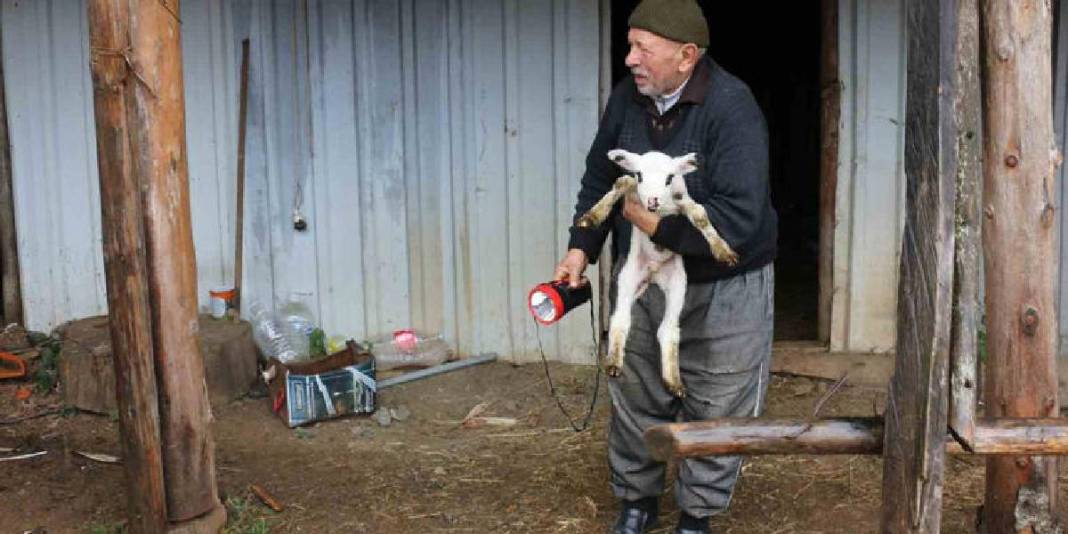 Kar yağışı beklentisi arttı göç başladı! Yaylalardan köye zorlu yolculuk: Kilometrelerce yolu yürüyerek gidiyorlar 2